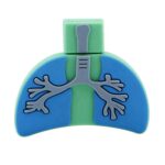 Lung-Shaped 16GB USB Flash - Image 4
