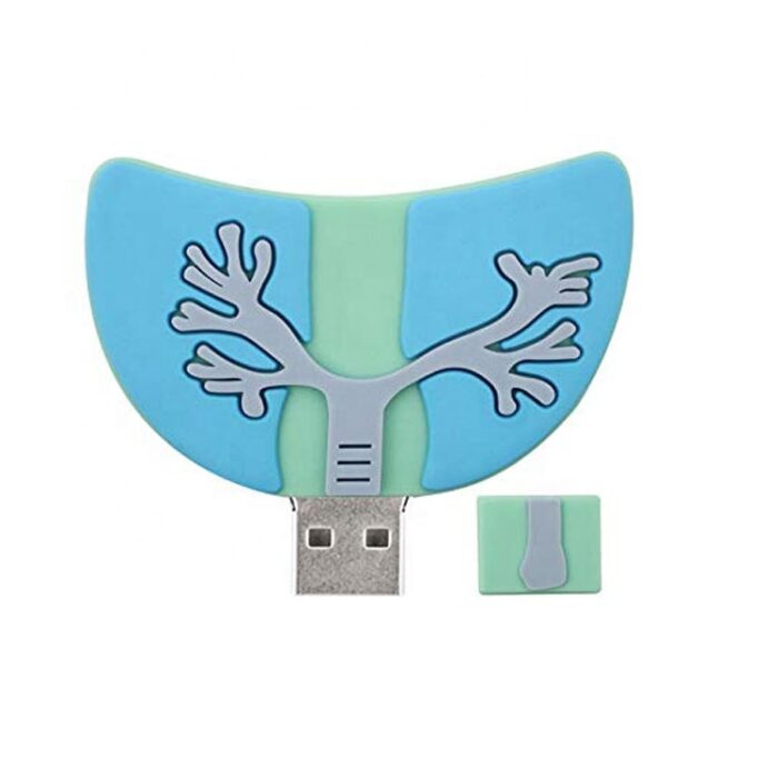 Lung-Shaped 16GB USB Flash - Image 3
