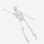 PROF Classic 20 cm basic skeleton model - Image 5